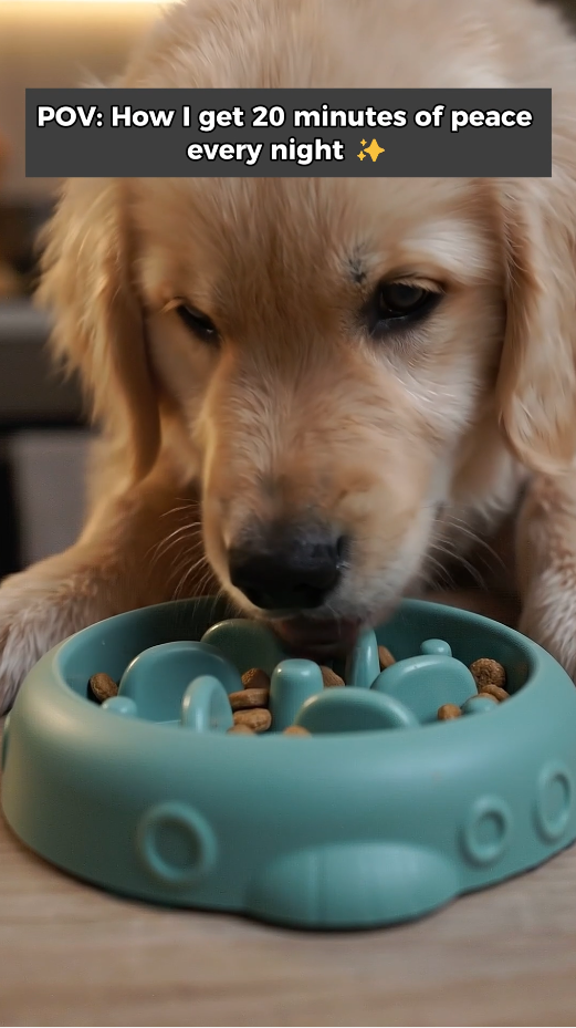 The Modern Maze Anti-Gulp Slow Feeder Bowl